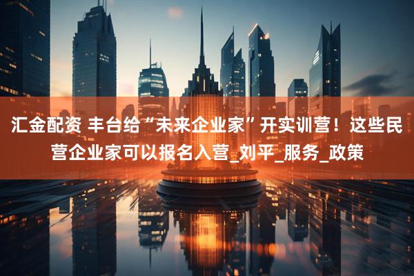 汇金配资 丰台给“未来企业家”开实训营！这些民营企业家可以报名入营_刘平_服务_政策
