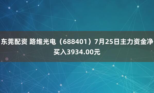东莞配资 路维光电（688401）7月25日主力资金净买入3934.00元