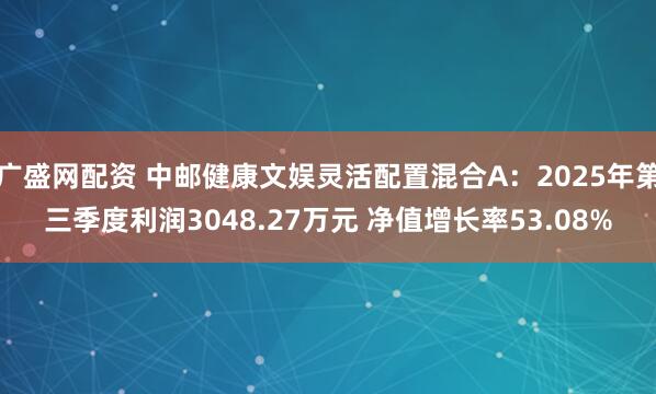 广盛网配资 中邮健康文娱灵活配置混合A：2025年第三季度利润3048.27万元 净值增长率53.08%