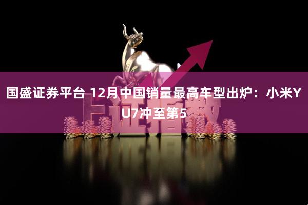 国盛证券平台 12月中国销量最高车型出炉：小米YU7冲至第5
